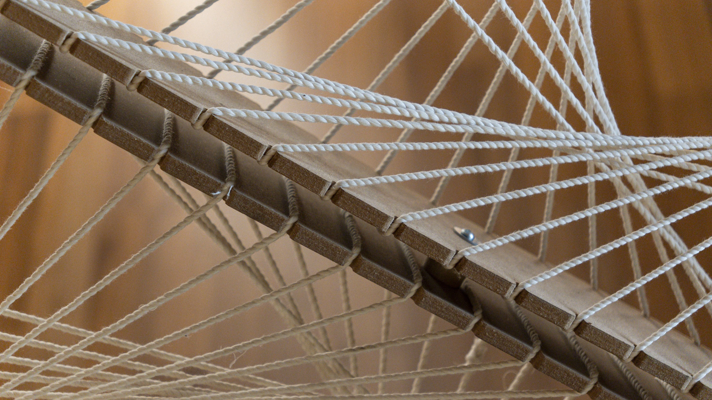 Pabellon 300 project photo 02